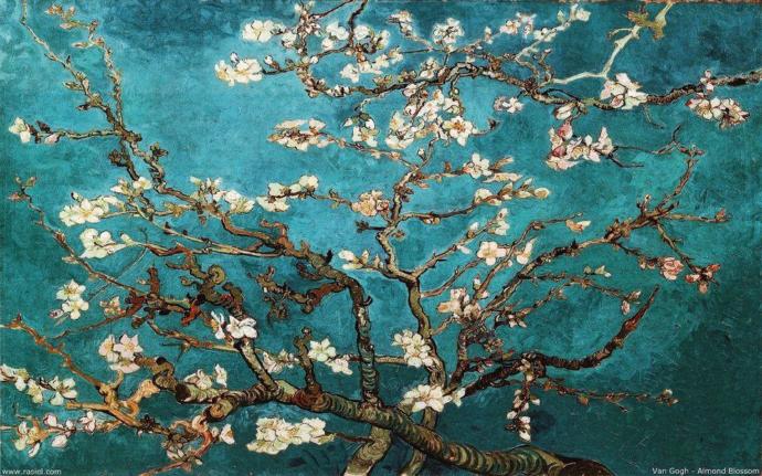 Resmin Üstadı Renkleri Dile Döken Vincent Van Gogh Hakkında Bilinmeyenler
