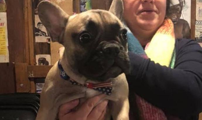 Amerikada Defalarca Belediye Başkanı Seçilen Köpek: Willbur Beast!