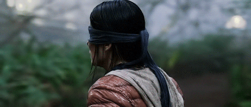 Bird Box