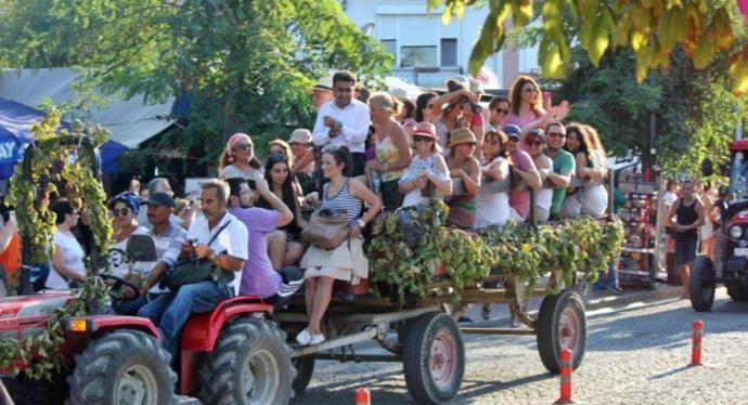 Hasat Zamanı: Seyahatin En Lezzetli Hali Bağ Bozumları