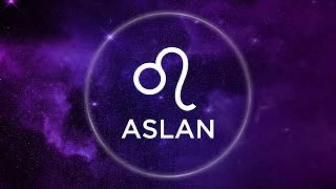 Aslan Burcu