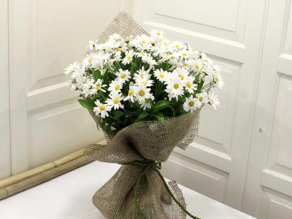 🌼🌼🌼