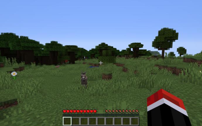Minecraft