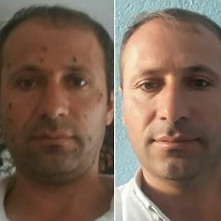 NoSoil: Mucizevi Bitkisel Ben Silme Kremini İnceliyoruz!