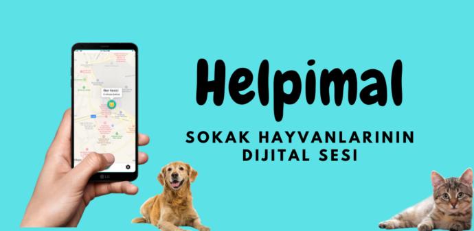 Hep Birlikte Sokak Hayvanlarına Sahip Çıkmaya Ne Dersin? Hadi O Zaman Helpimal Uygulaması İle Tanışalım!