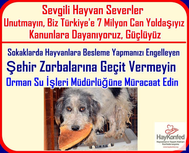 Hayvan Düşmanı İnsanlarla Nasıl Başa Çıkabiliriz?