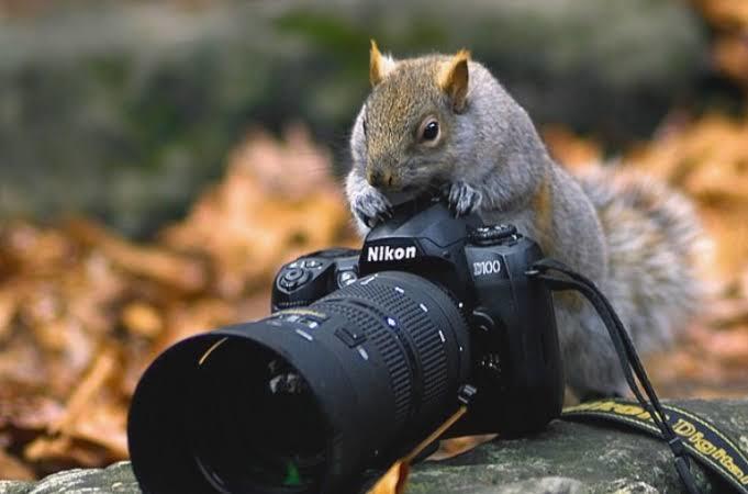 Gülümse canım çekiyoruuum 📸📸