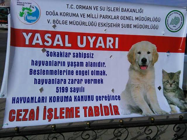 Hayvan Düşmanı İnsanlarla Nasıl Başa Çıkabiliriz?