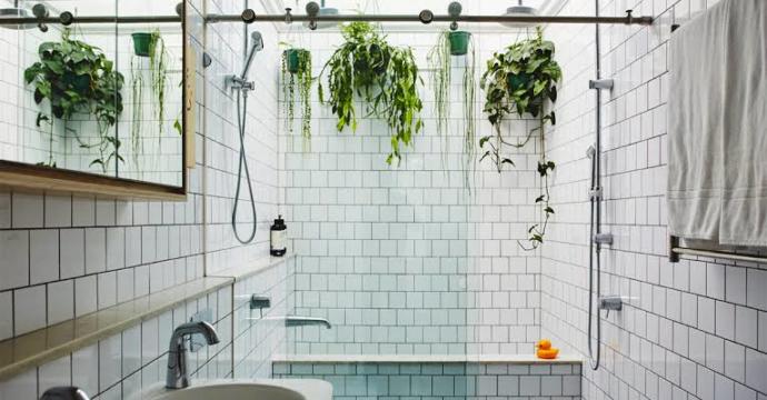 Duş Keyfinizi Arttıracak, Banyo Havasını Değiştirecek Tüyolar 🛀