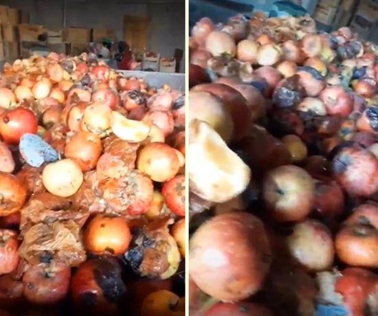 Meyve suyu fabrikasındaki meyveler