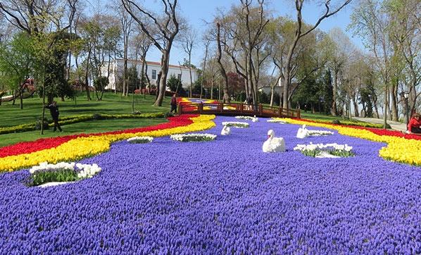 Doğaya Kucak Açın: En Renkli Çiçek Festivalleri