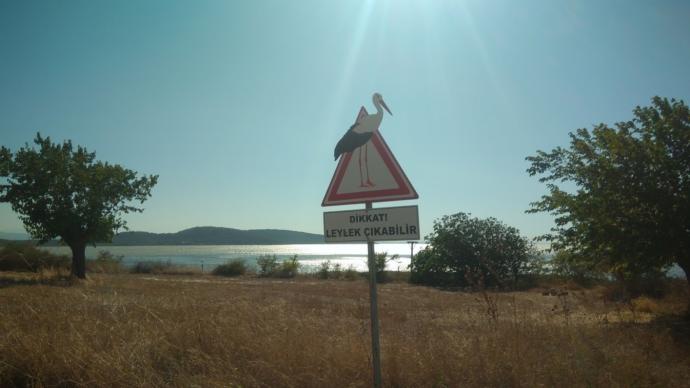 Pandemi Gölgesinde Yaz Tatilinden Kalma Fotoğraflar -2