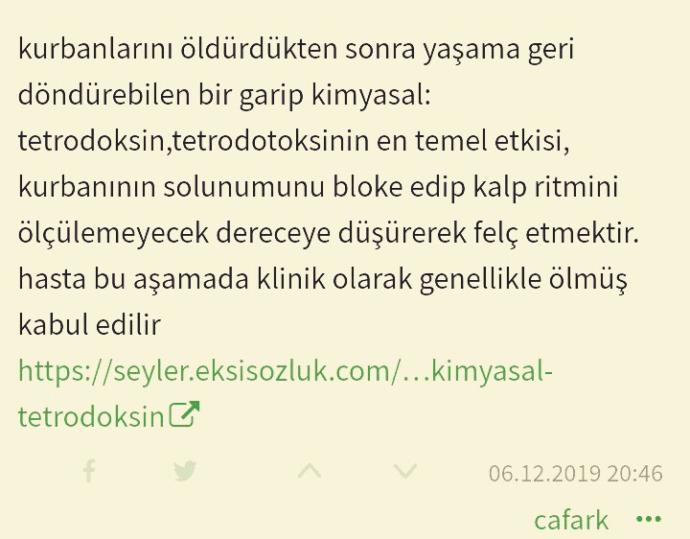 Kadın Cinayetlerinin Karanlık İsmi: Cem Garipoğlunun İntihar Etmek Yerine Kaçırıldığına Dair Şüphe Uyandıran Bulgular