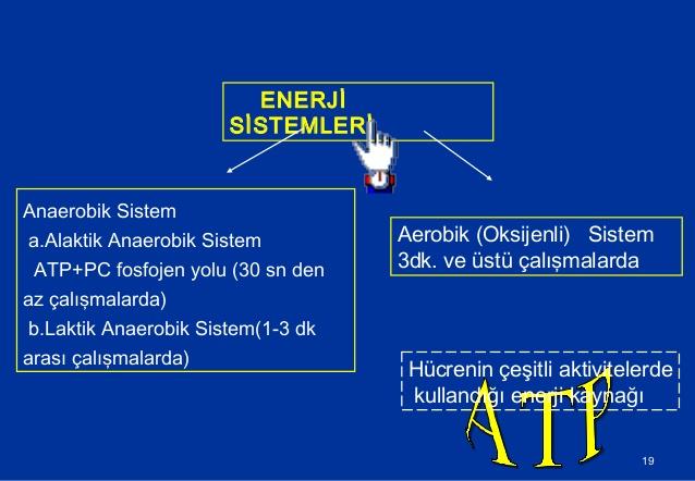 ATP