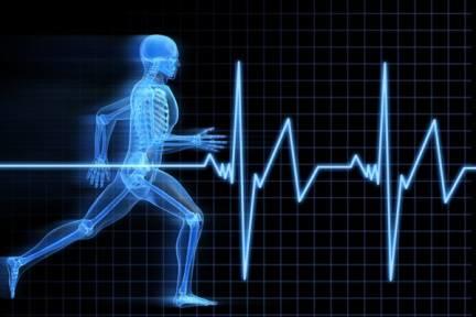 Spor Fizyolojisi ve Biyomekanik