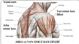 Kırmızı Lifler
