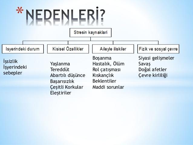 Stresin Kaynakları