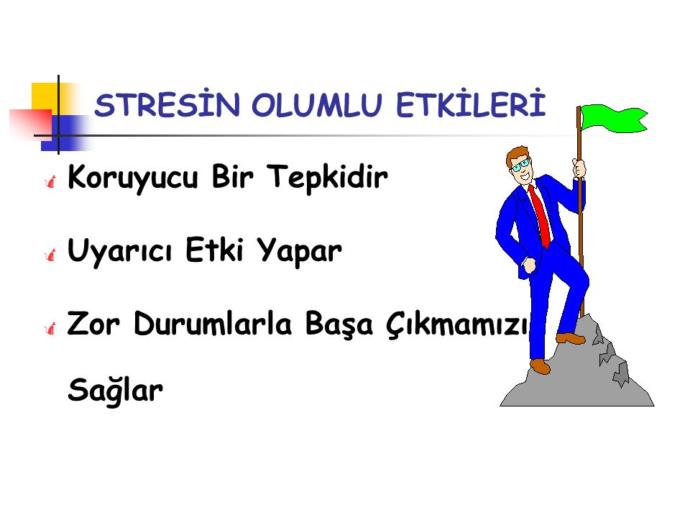 Stres ve Nedenleri