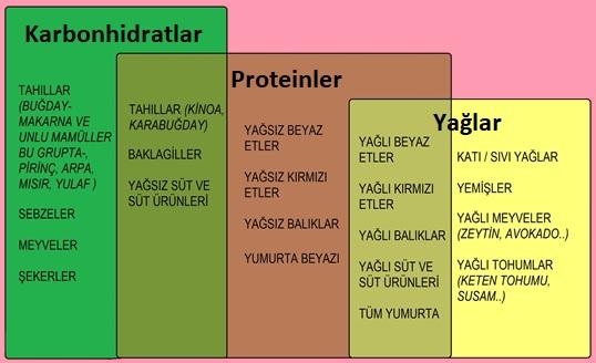 Karbonhidratlar, Proteinler ve Yağlar
