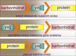 Karbonhidratlar ve Proteinler