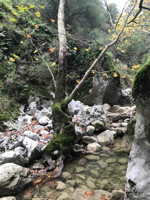Hafta Sonlarımız Hala Bize Aitken: Kurudere Kanyon Geçişi
