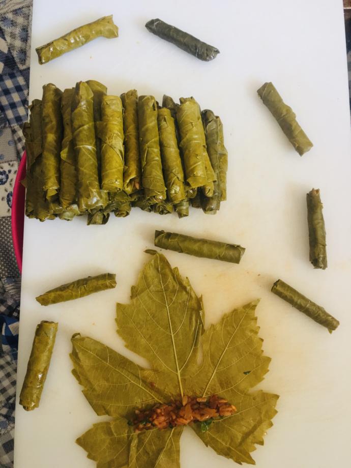 İstanbul Usulü Zeytinyağlı Yaprak Sarma Tarifim
