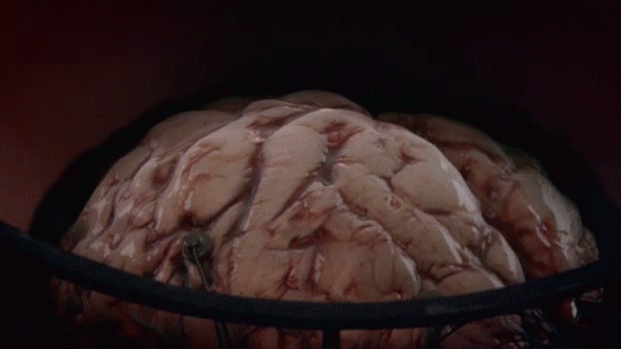 🧠
