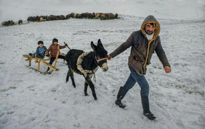 Mürsel Tahtacının fotoğrafı.