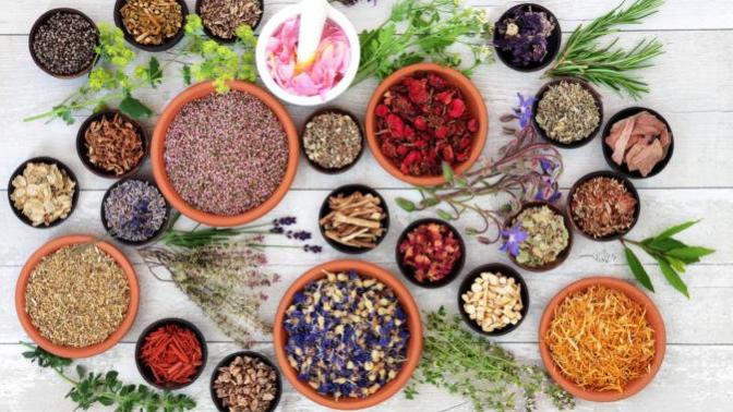 Ayurveda'ya Göre Hastalanma Konusu
