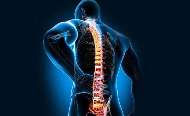 Bel Fıtığı Nedir? Korunma Yolları Nelerdir?