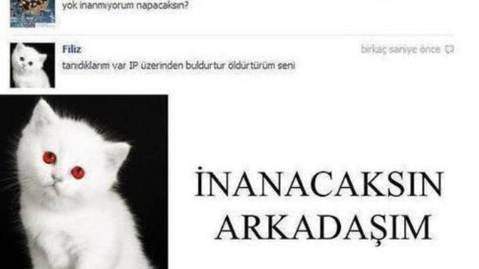 Din Konusundaki Bilgisizliğimiz