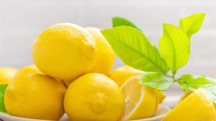 2021 Şubat Ayı Zam Şampiyonları