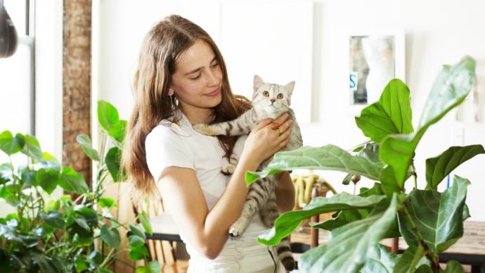 Kedi Tüyleri ile Savaşanlar Buraya! Kedili Evler İçin Pratik Temizlik Önerilerim