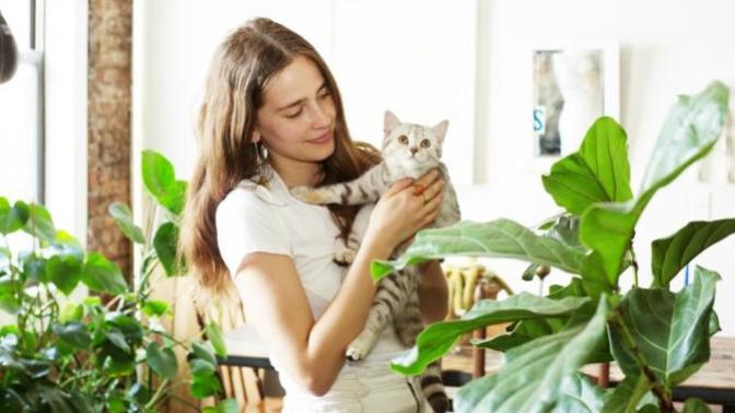 Kedi Tüyleri ile Savaşanlar Buraya! Kedili Evler İçin Pratik Temizlik Önerilerim