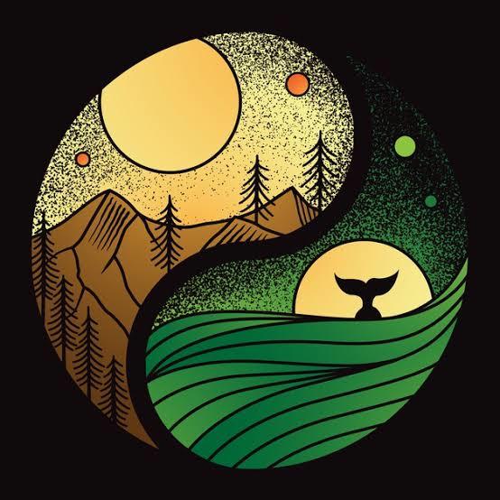☯️ Yin/Yang - Durgunluk ve Hareket ☯️