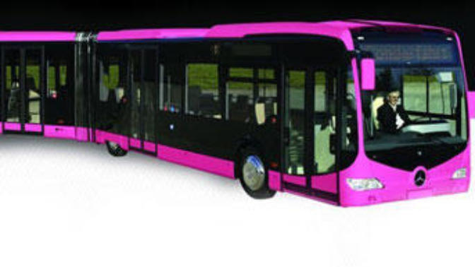 Pembe Otobüs Saçmalığı