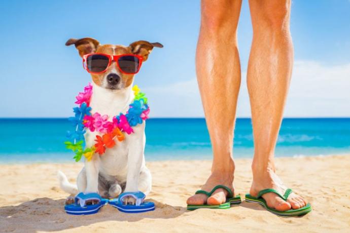 Muhteşem Bir Tatil İçin Doğru Yer Seçiminde Dikkat Edilmesi Gerekenler!