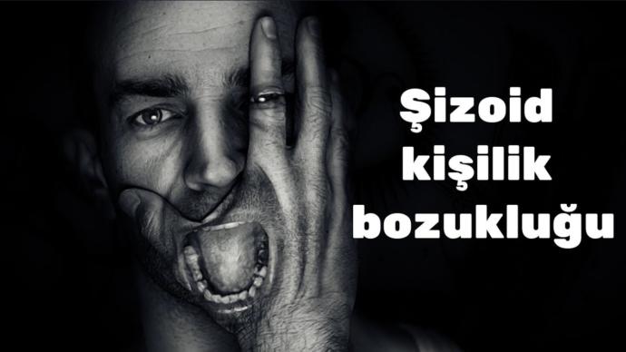Şizoid Kişilik Bozukluğu Hakkında Bilinmeyenler