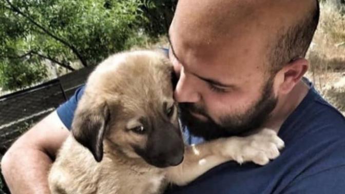 4  Nisan Dünya Sokak Hayvanları Günü! Sokak Hayvanları İçin Yapılacak Basit Ama Etkili 5 Şey