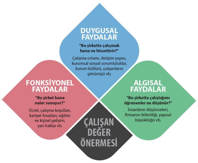 Fonksiyonel Fayda Ve Doğanın Gücü Bir Arada!