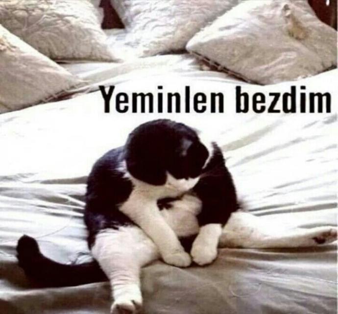 Hay gitmez olaydım.