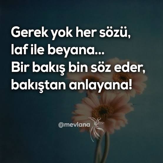 8 Özür Dileme Hatası!