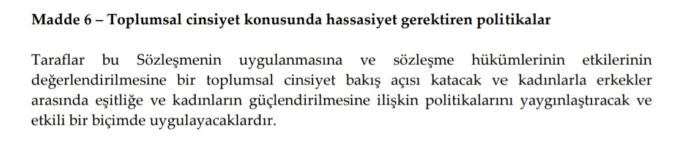 Gerçekten Okudunuz mu? Cinsel Yönelimi Yayıp Türk Aile Yapısını Bozduğu İddia Edilen İstanbul Sözleşmesi Maddeleriyle!