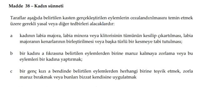 Gerçekten Okudunuz mu? Cinsel Yönelimi Yayıp Türk Aile Yapısını Bozduğu İddia Edilen İstanbul Sözleşmesi Maddeleriyle!