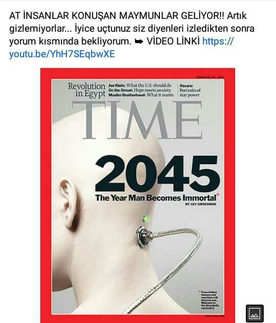 9 Yaşındaki Makak Maymunu “Pager” Beyin Sinyalleri İle Bilgisayar Oyunu Oynadı!