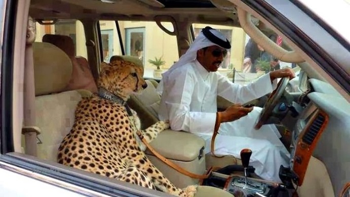 Sadece Dubai’de Görebileceğiniz 10 İnanılmaz Şey