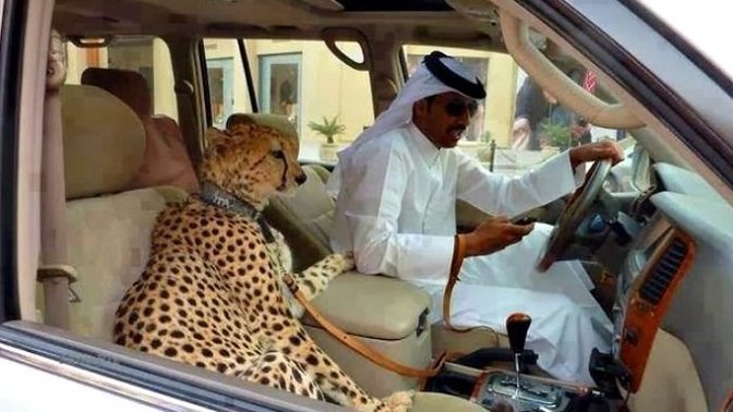 Sadece Dubai’de Görebileceğiniz 10 İnanılmaz Şey