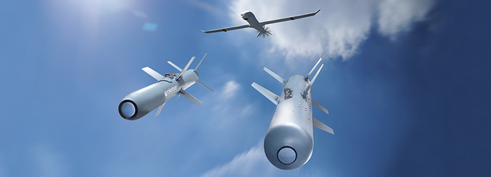 Roketsan MAM