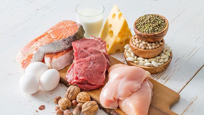 Protein içeren gıdalar