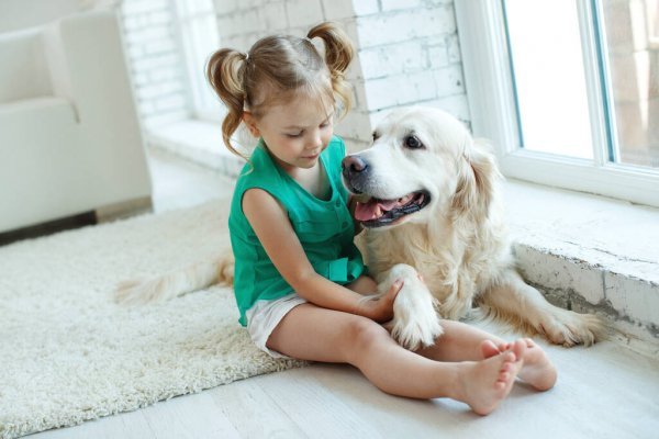 Çocuklar İle İyi Anlaşan 5 Köpek Cinsi!